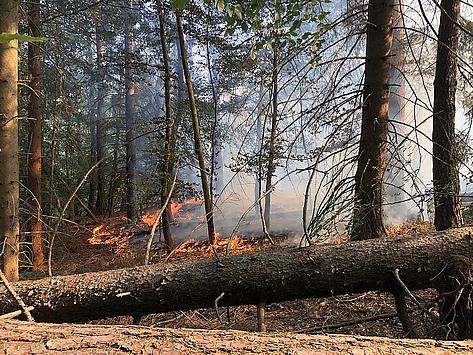 Waldbrandgefahr